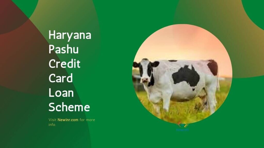 Haryana Pashu Credit Card Loan Scheme