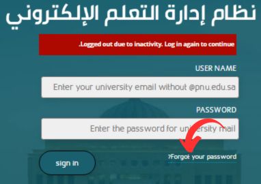 PNU Blackboard Recover Password