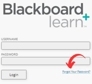 SEU Blackboard Recover Password