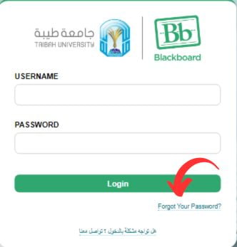 Taibah Blackboard Recover Password
