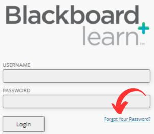 UHD Blackboard Recover Password