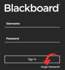 Ul Blackboard Recover Password