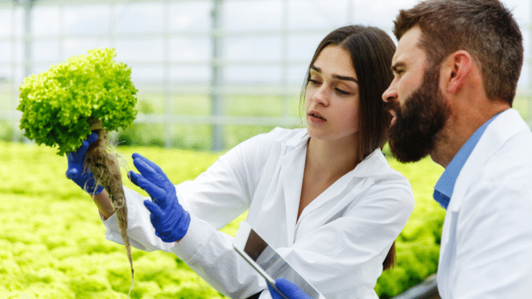 Arugula Researcher at Cambridge